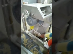 Layanan di tempat operasi pengajaran mesin ekstruder makanan hewan