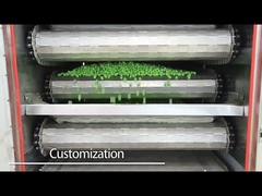 LG Inverter 500kg/Jam Ekstruder Makanan Hewan Dengan Oven Pemanggang