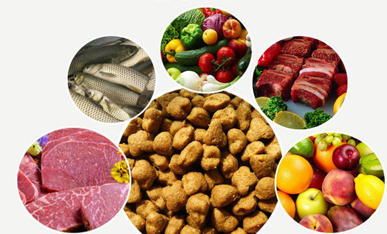 SBN Mesin Pembuatan Pellet Makanan Anjing Dari Baja Berkualitas