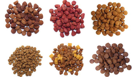 Otomatis Dry Kibble Dog Cat Feed Membuat Mesin Twin sekrup extruder