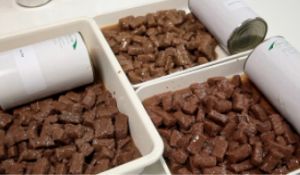 Lini Produksi / Mesin Pengolahan Makanan Hewan Peliharaan Profesional Untuk Makanan Hewan