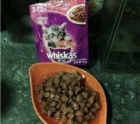Mesin Pembuat Makanan Basah Hewan Peliharaan Anjing / Kucing Stainless Steel