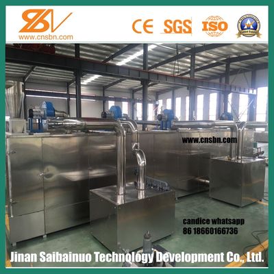 Twin Screw Pet Food Extruder Machine Mesin pengolahan pakan hewan peliharaan Lively Shape Plant Simens Motor