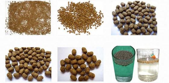 Layanan di tempat operasi pengajaran mesin ekstruder makanan hewan