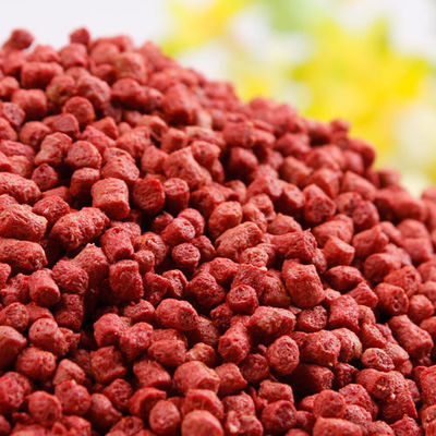 Industri 220V Twin Screw 100kg/Hr Extruder Makanan Ikan