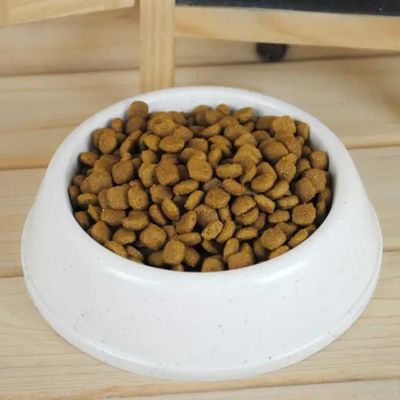 Mesin Pelet Makanan Anjing 100kg/jam
