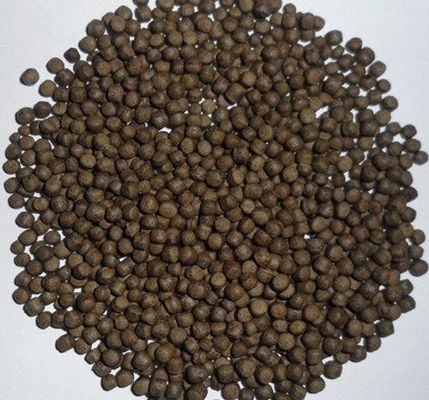 SS201 Jalur produksi pakan ikan terapung 200-260 Kg/Hr Berkelanjutan sepenuhnya