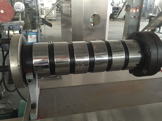 Jalur produksi pakan ikan terapung 100 kg/jam