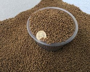 Double Screw 160kg/hr Extruder Makanan Ikan Animal Pellet Produksi Line