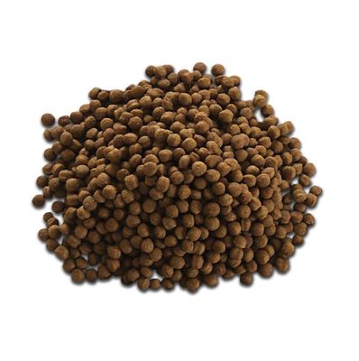 Lini Produksi Pakan Ikan Apung Grade SUS304 Output 200-260 Kg/Jam