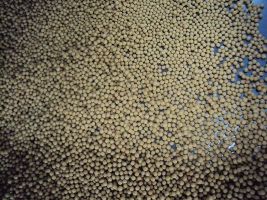 SS304 Hewan kecil hewan peliharaan ikan lele Extruder Makanan ikan Menenggelamkan Mesin Makanan Ikan