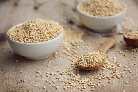 Mesin Pembuat Pakan Udang Lele Hewan Peliharaan Berbagai Bentuk