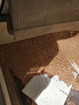 Mesin Pembuat Pakan Udang Lele Hewan Peliharaan Berbagai Bentuk