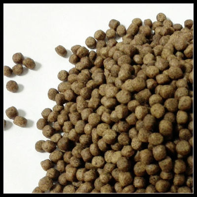 Mesin Ekstruder Pakan Ikan Apung SUS 304 Cetakan Berbeda Pengoperasian Lebih Mudah