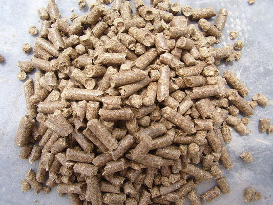 Cina Ekstruder Sekrup Ganda Garis Produksi Pelet Pakan Ikan Apung Pakan Ternak