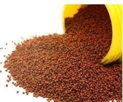 Mesin pengolah pelet pakan ikan apung otomatis