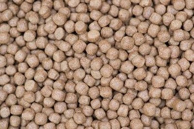 pabrik pakan ikan mesin makanan ikan pabrik ekstruder