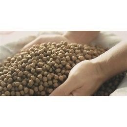 200-260KG/H Twin Fish Food Pellet Machine Fish Feeding Equipment