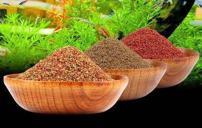 200-260KG/H Twin Fish Food Pellet Machine Fish Feeding Equipment