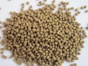 Mesin pembuatan pakan ikan terapung untuk akuakultur 500-600kg/H