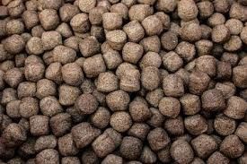 6TPH Twin Screw Fish Feed Extruder untuk Makanan Ikan Terapung