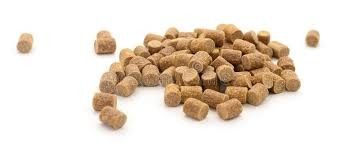 6TPH Twin Screw Fish Feed Extruder untuk Makanan Ikan Terapung