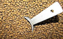 6TPH Twin Screw Fish Feed Extruder untuk Makanan Ikan Terapung