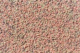 Ekstruder Pakan Ikan Sekrup Ganda 100kg/jam-6t/jam Untuk Mesin Pelet Pakan Ikan Apung