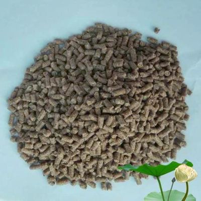 Mesin Pellet Makanan Ikan Terapung Kinerja Tinggi