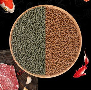 Otomatis 500kg/H mesin pakan ikan berskru ganda mengambang