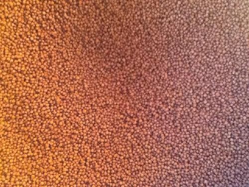 Kapasitas besar Twin Screw Fish Feed Extruder Mesin Pellet Feed Fish